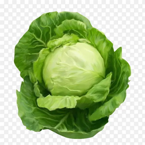 Բ�ײˣ��̣��߲ˣ�װ��-������