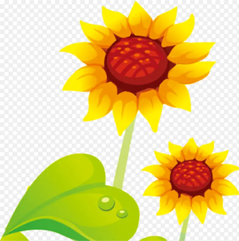 ��ͨ-������