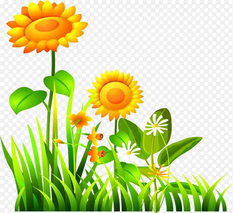 ��ͨ���տ�-������