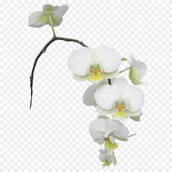 ��ɫ�滨��ɫ�滨-������