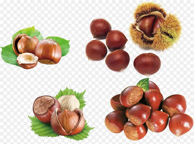 ������Ʒʵ������ز�-������