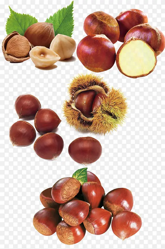 ������Ʒʵ������ز�-������