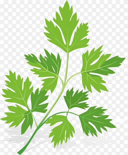 ʸ�����������ز�-������