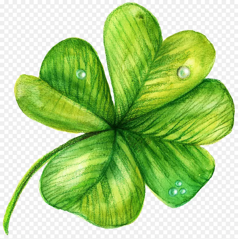 ��Ҷ-������