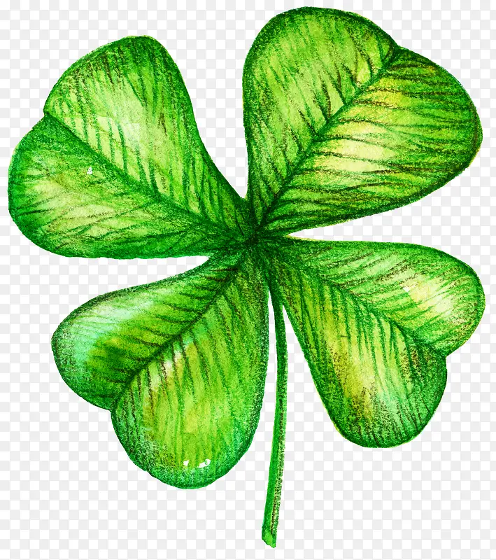 ��Ҷ��-������