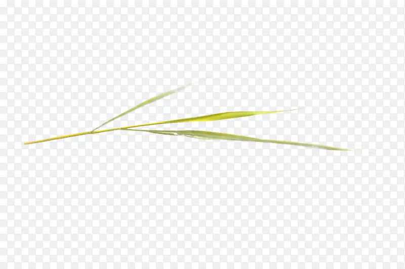 �̲�װ��-������