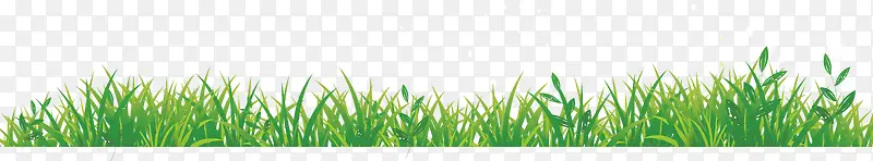 �̲�-������