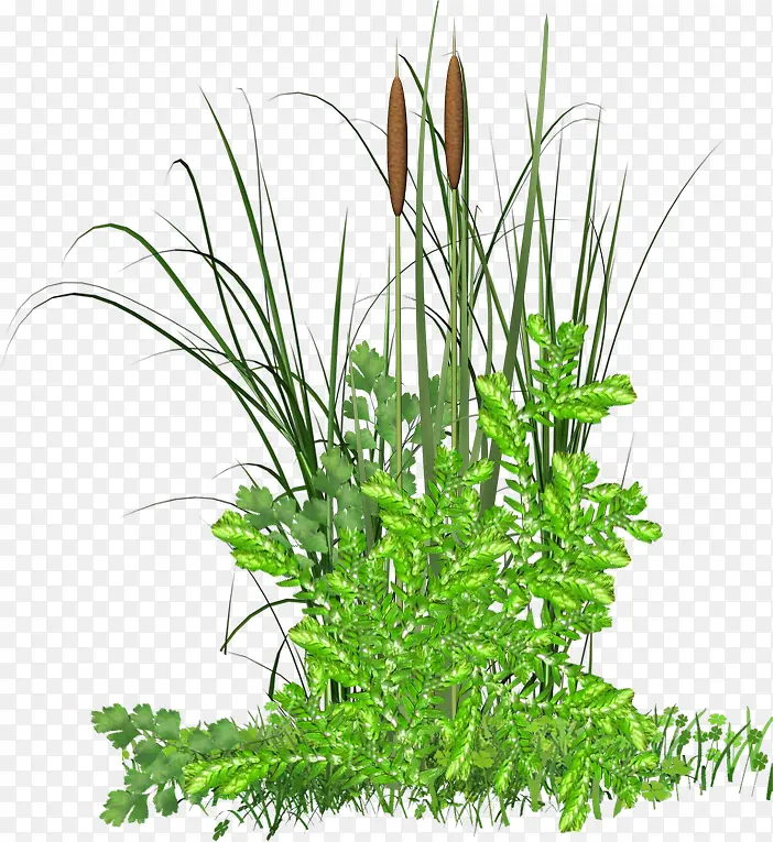 �ֻ������̲�װ��ֲ��-������