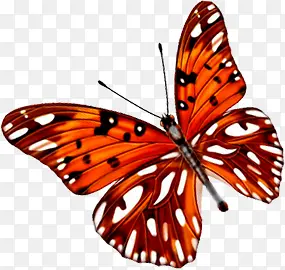 ��ɫ�ߵ������-������