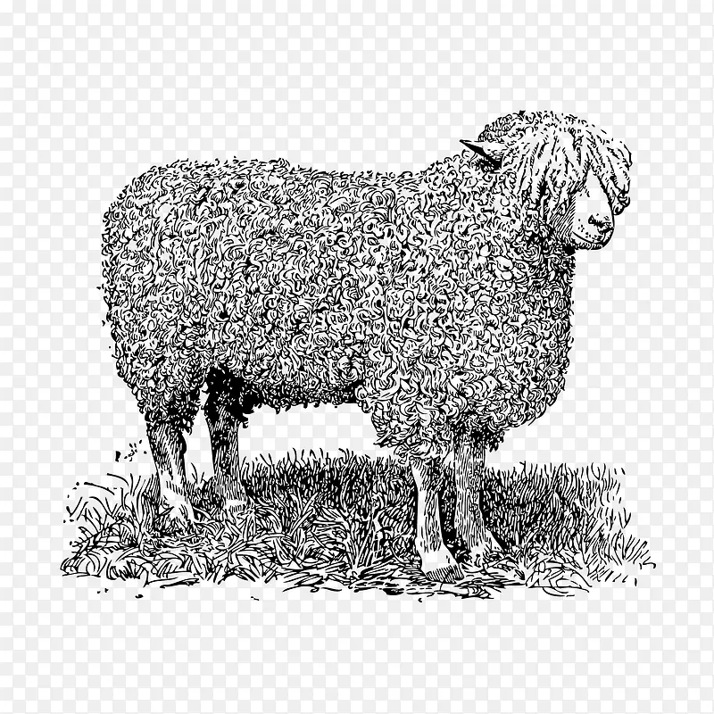 �ֻ�����-������