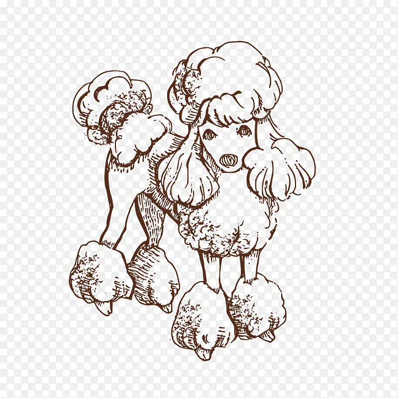 ��ͨ���� ��ͨ-������