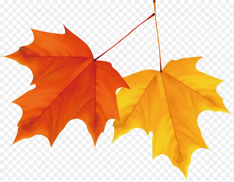 ��Ҷװ���ֻ�ʸ��-������