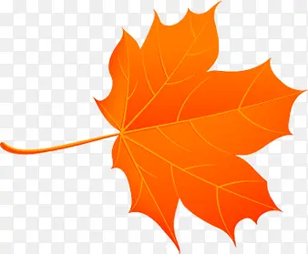 ��ɫ��Ҷ�ļ������ز�-������