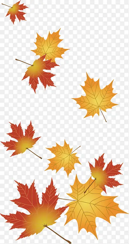 ��ɫ����ʱ�з�Ҷװ��-������