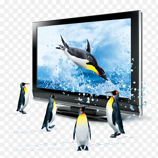 ��������ʾ��-������