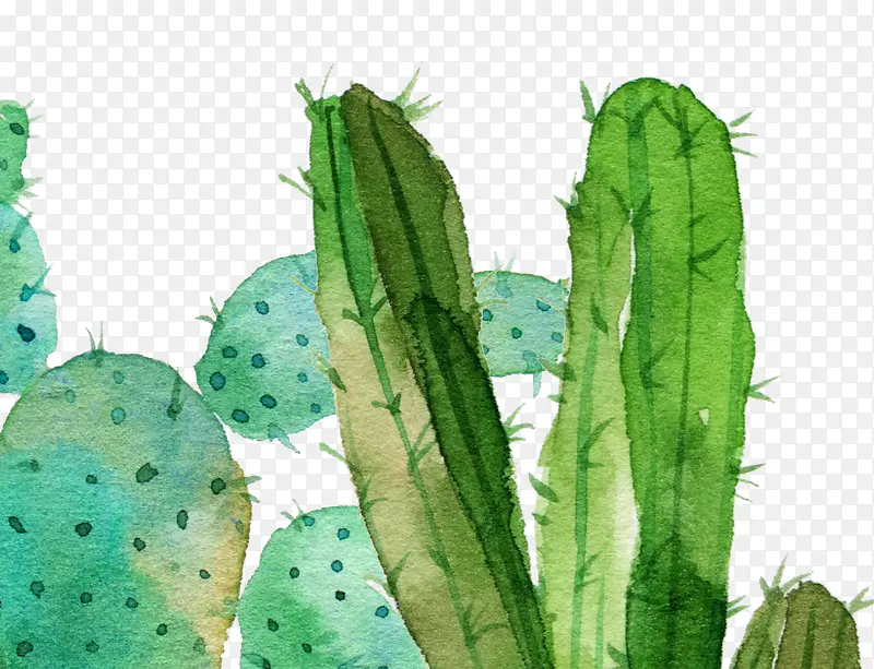 ˮ���ֻ�-������