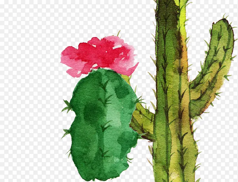 ˮ���ֻ�-������