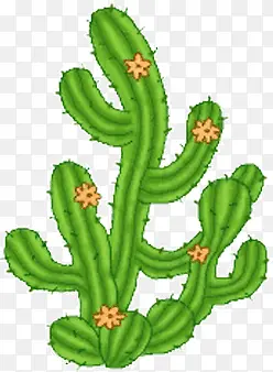 �ɰ���ͨ-������