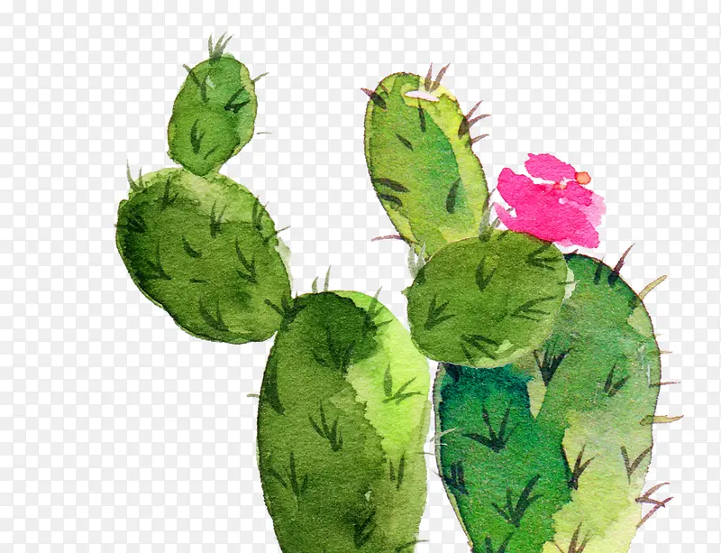 ˮ���ֻ�-������