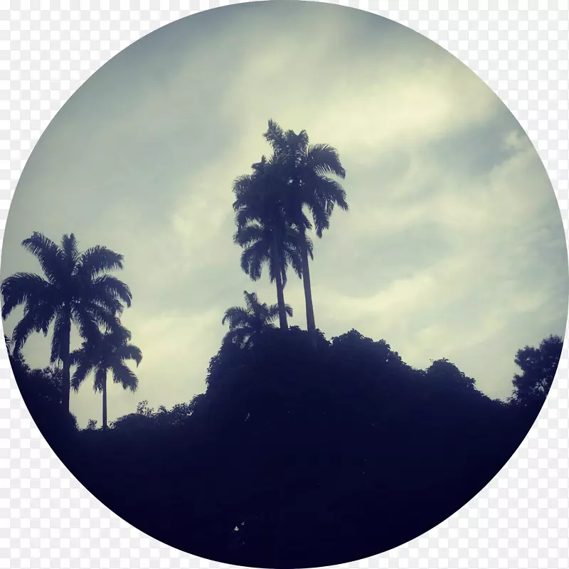 ��ӰȦ����-������