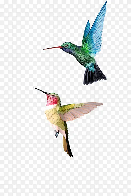 ��ɫ����ͼ��-������