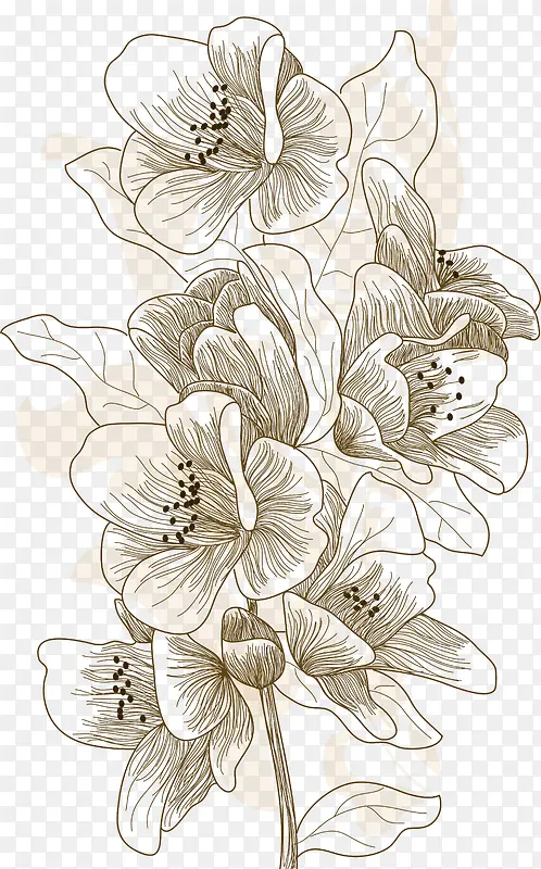 �ֻ��������⻨��-������