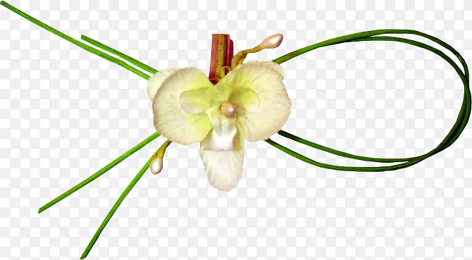 ��ɫ��װ��Ʒ-������