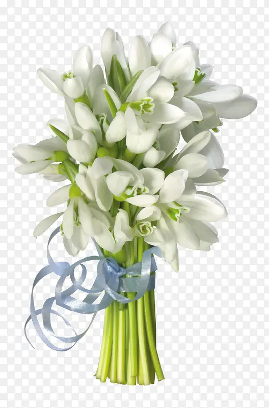 ��ɫ������װ��-������