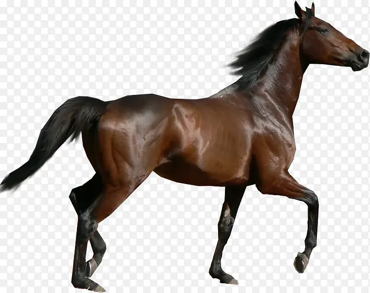 ��ͨͼƬ��ͼƬ�ز�-������