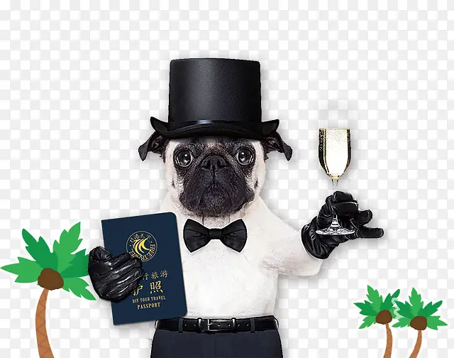 ���⿨ͨ-������