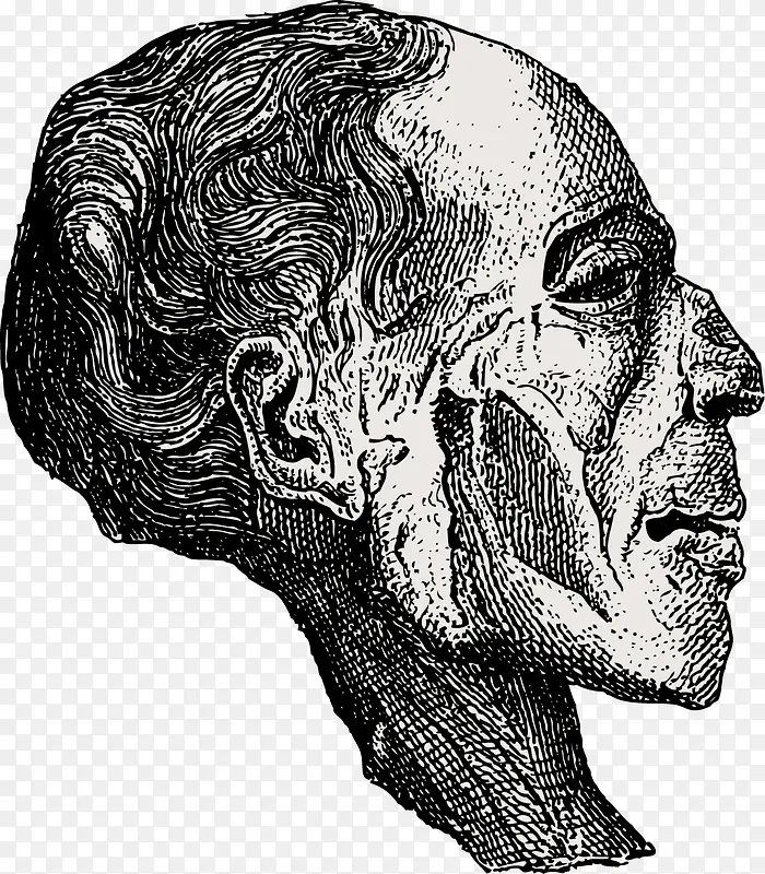 �Ű����ز�-������