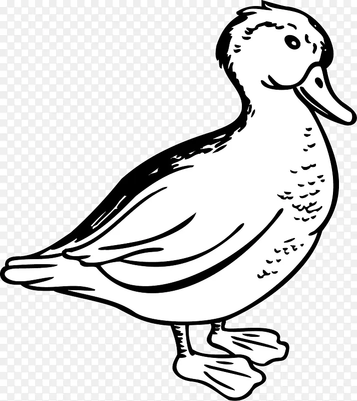 �ֻ� ��ͨ Ѽ��-������