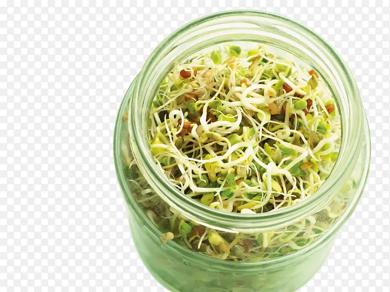 ��������Ķ�ѿ-������