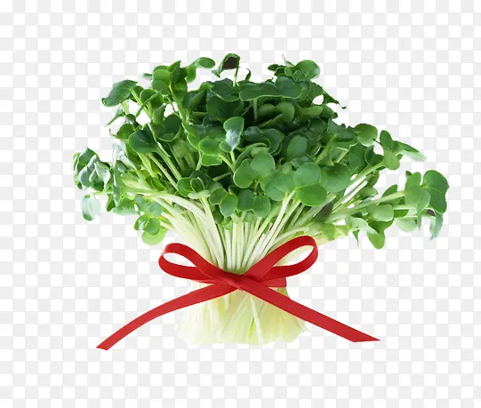 ��ɫ�߲�-������