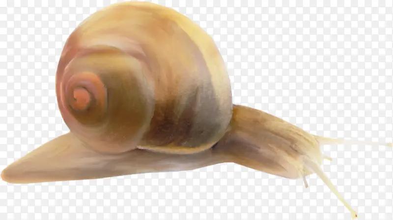 �ֻ���ţ-������