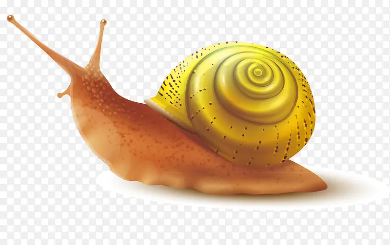 ��ţװ��ʸ���ز�-������