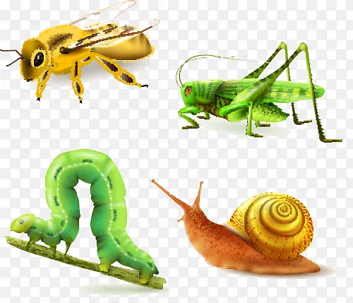 ��������-������