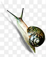 ��ţ��������ֻ�-������