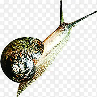 �ɰ����츴����ţ-������