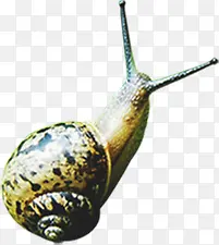 ������ţ�������-������