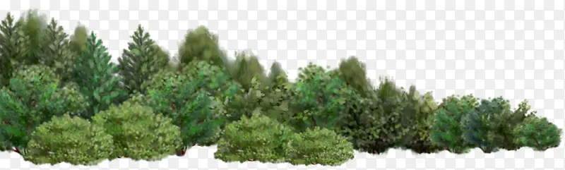 ������ӰЧ��С����-������