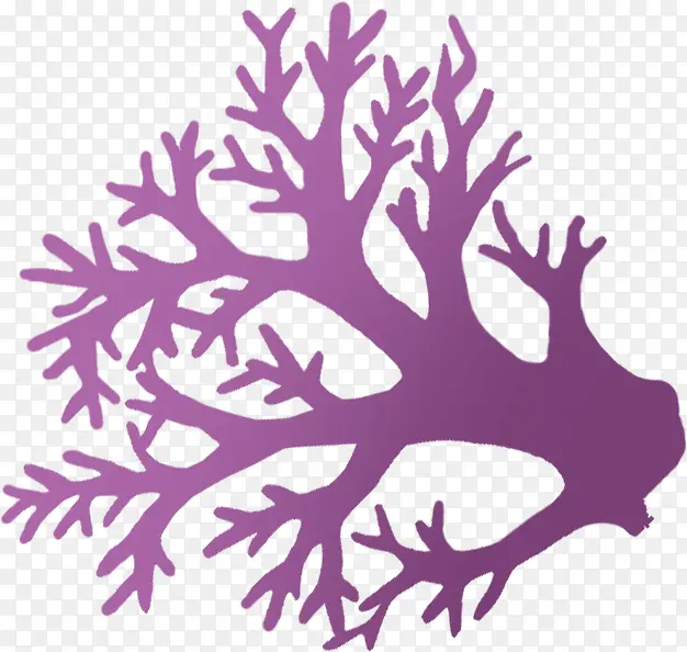 ��ͨ�ɰ��������-������