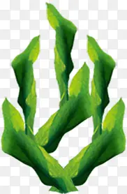 ����-������