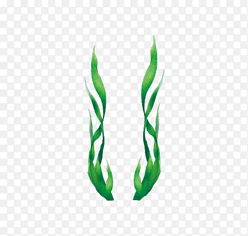 ������ز�ͼ-������