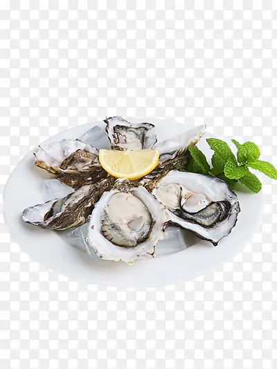 ����-������