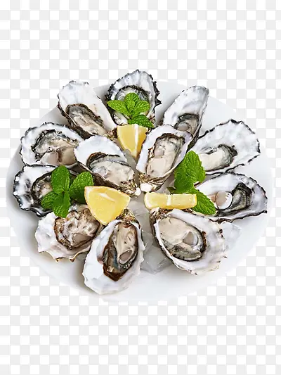 ����-������