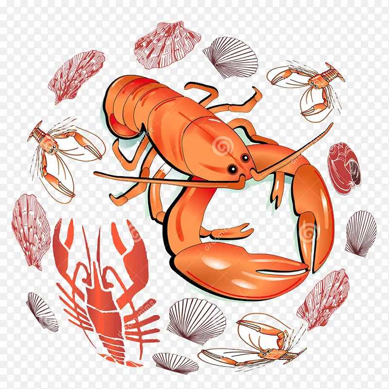 ��ͨ����-������