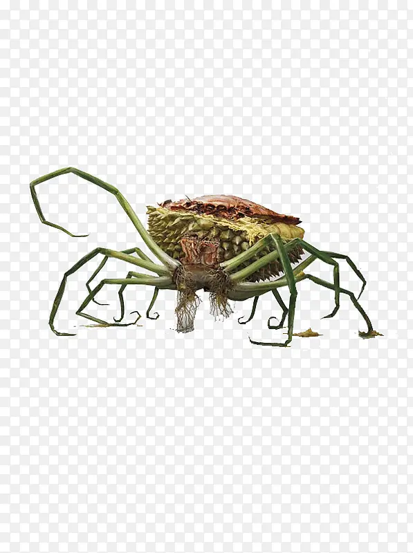 ���⺣��-������