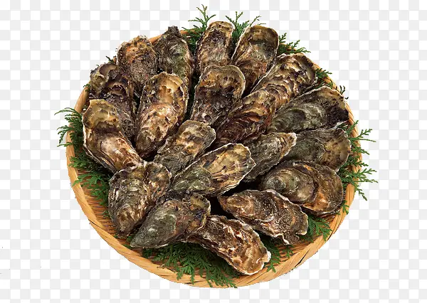 ��������ز�-������