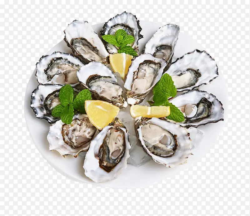 һ�̺óԵ����-������